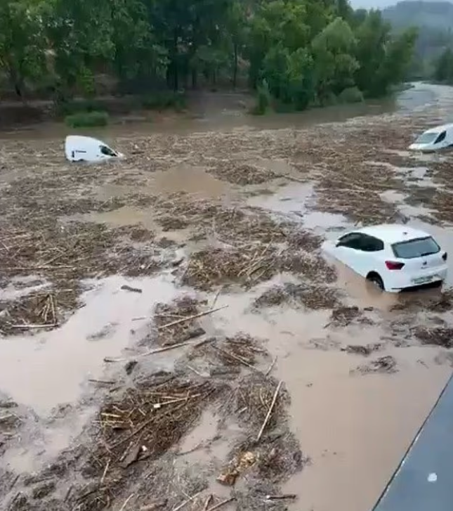 Ekran Görüntüsü 2025 07 13 20071
