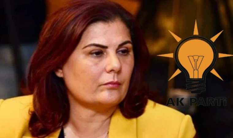 Baskan Ozlem Cercioglu Cumhuriyet Halk Partisinden Istifa Etti 1755135393