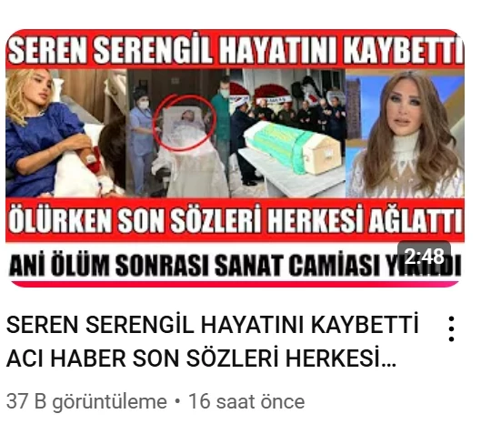 Bnbfgdfd 1Wp4