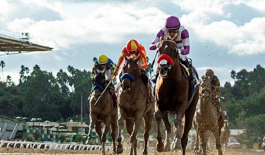 7.KOŞU 2400 Çim 4 ve Yukarı Araplar Grup3 
Son katıldığı Grup2 koşuda elde ettiği 3.lük ile 12 numara YEMEN RÜZGARI favorim. 4 numara KARİZMATİK ve 2 numara BAHÇEDEREBEYİ en ciddi rakipleri konumunda. Sıralamam; 12-4-2