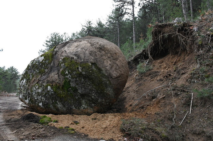 A A 20251028 39547375 39547372 S I