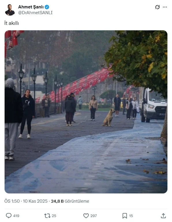 As2Jpg Gc E Ro I I No E 8 Jf J P3Hv U E A 1