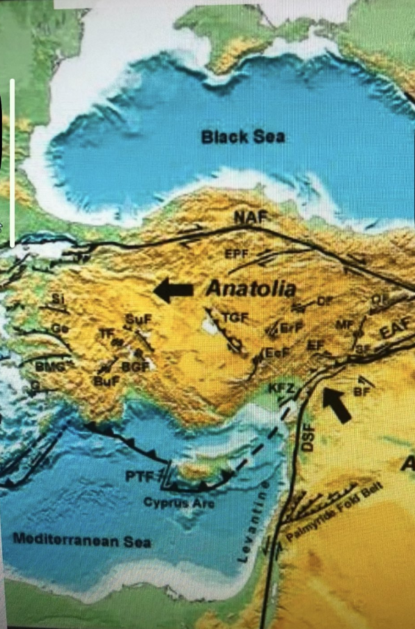 Ekran Resmi 2025 11 12 14.10.19