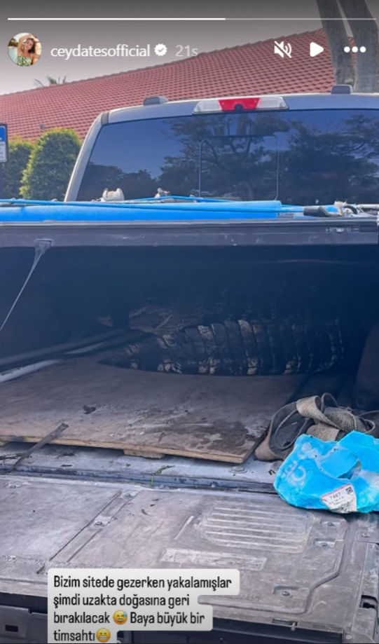 Ekran Görüntüsü 2025 11 05 002736