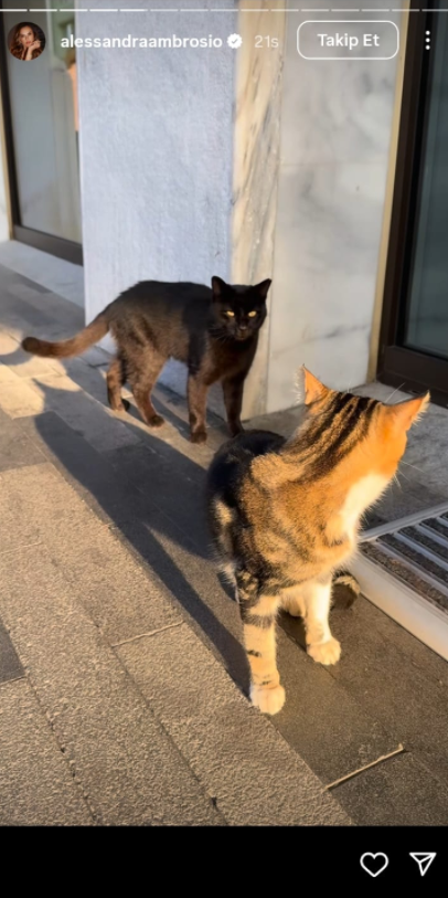 Ekran Görüntüsü 2025 11 05 182407