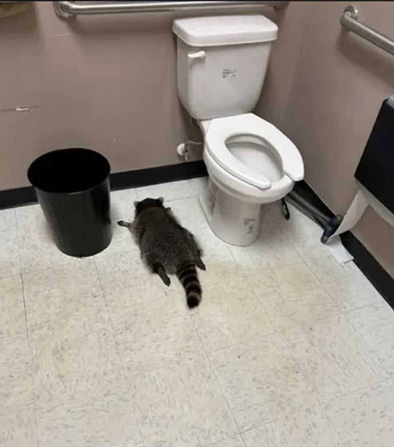 Ekran Resmi 2025 12 03 13.58.52