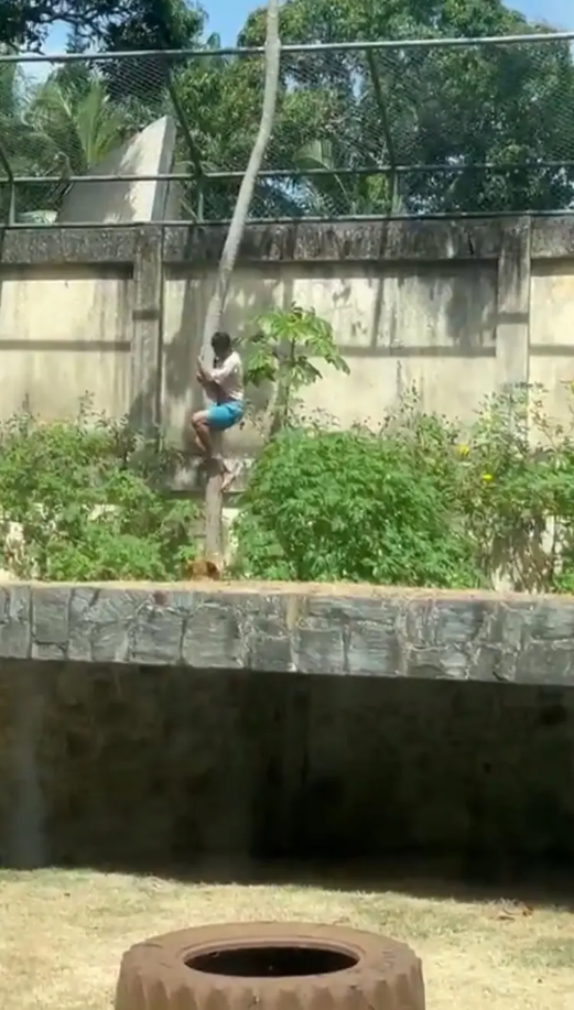 Ekran Görüntüsü 2025 12 01 231014