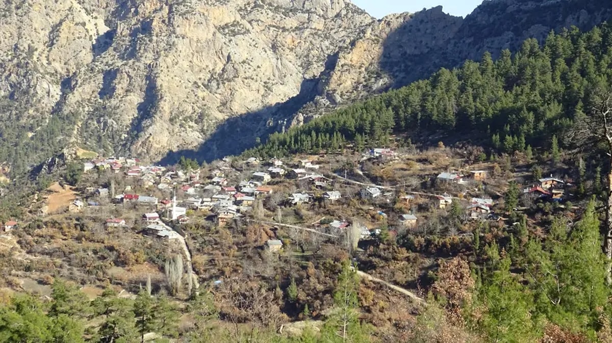 S Ba544Cb78F0E3294E584204Af5631A9A0E93Ecae