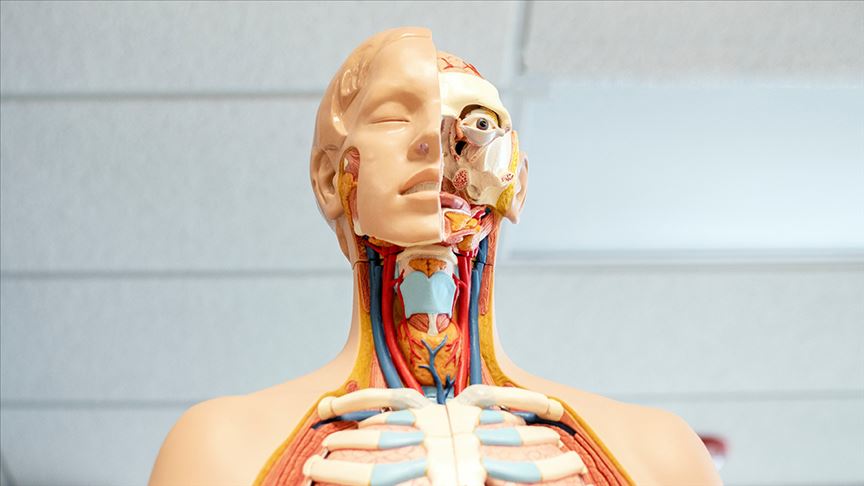 Thumbs B C B6Cb5Df1218D6A9C0A7A5Fe5Fb3133A9