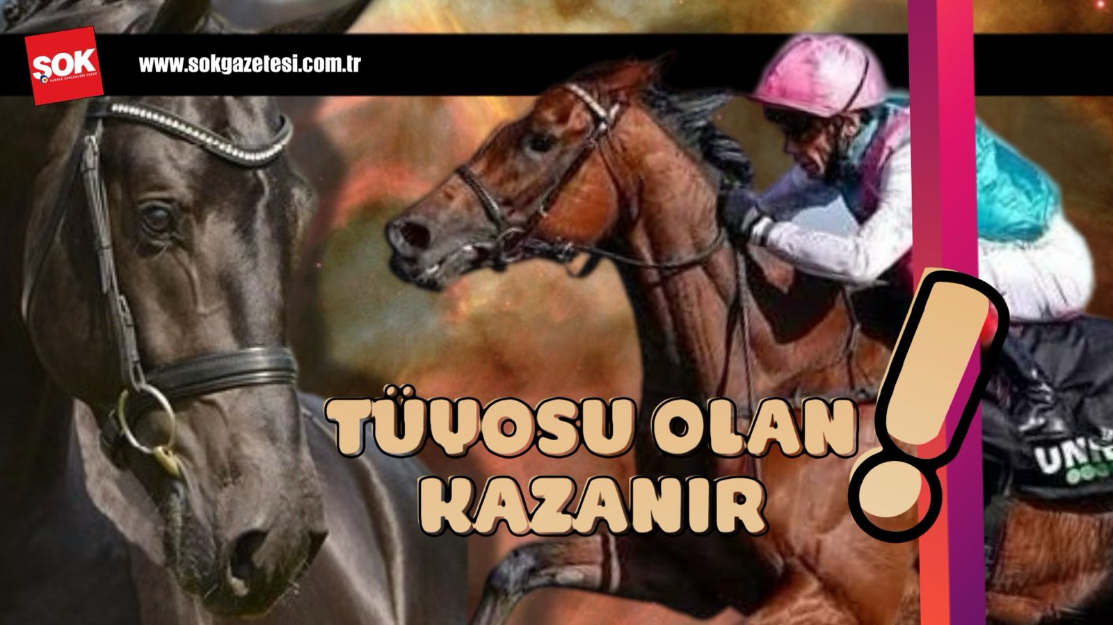 Tüyosu olan kazanır! 23 Aralık at yarışı tahminleri