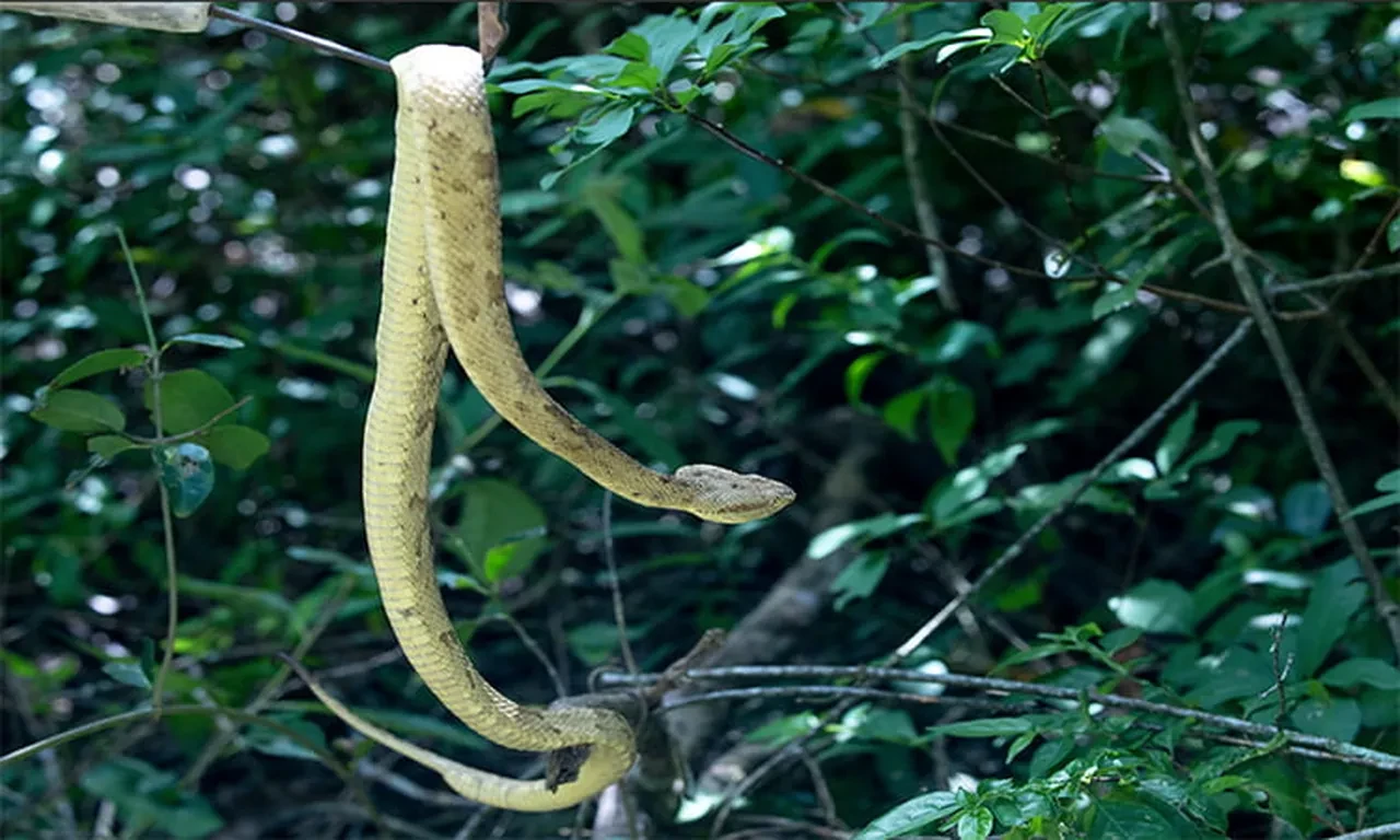 Dunyanin En Tehlikeli Yeri Gidenin Sonu Oluyor Askeri Donanma Bile Zor Giriyor 3278100 Photogallery 4 1