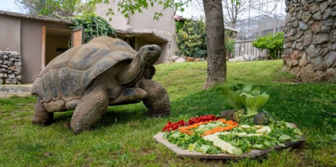 Ekran Görüntüsü 2026 01 16 18094