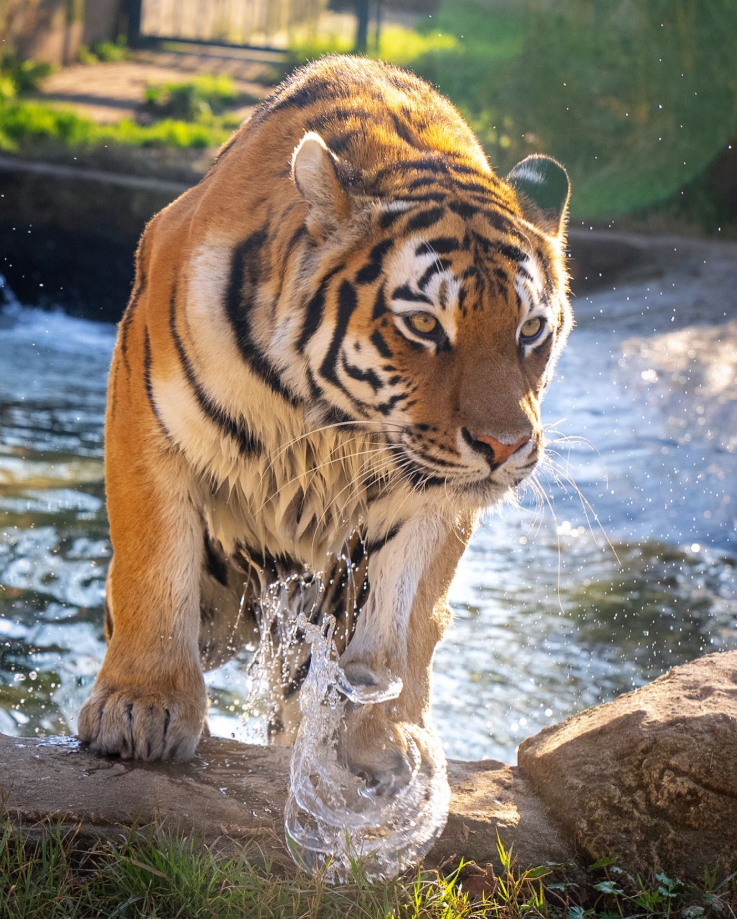 Ekran Görüntüsü 2026 01 16 181004