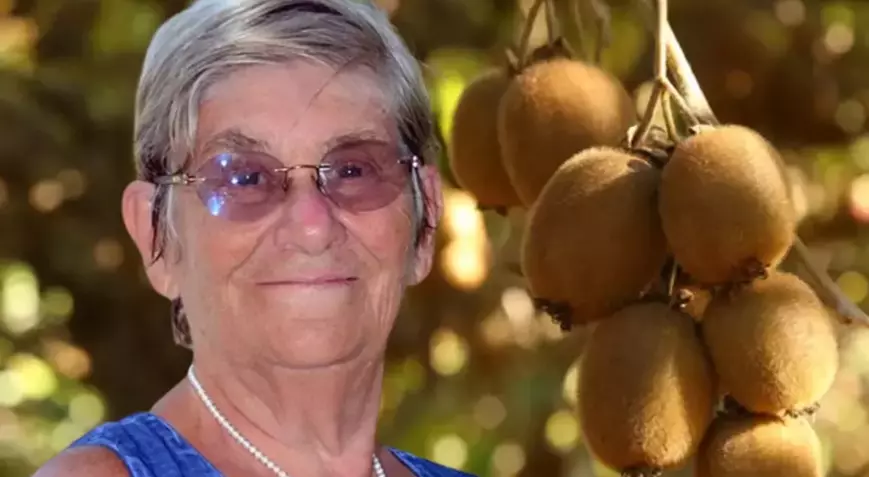 Bu tarifle 10 yaş daha genç gözükmek mümkün! Prof. Dr. Canan Karatay 'gençlik iksiri' dediği yöntemi paylaştı