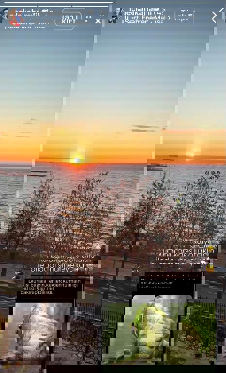 Necla Karahalilden Cem Yilmazin 38 Yas Sakasina Yanit