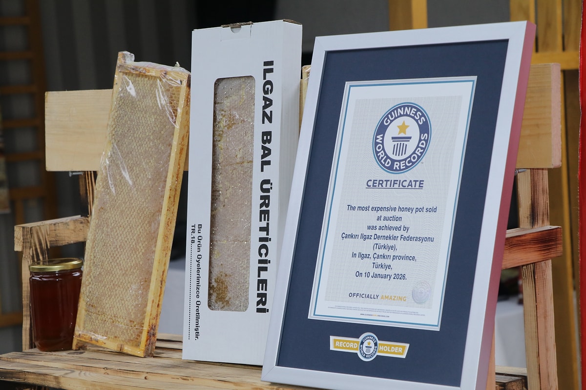 S A315A1A92C8521Fc25538440856F2Eca4843Acdc 1