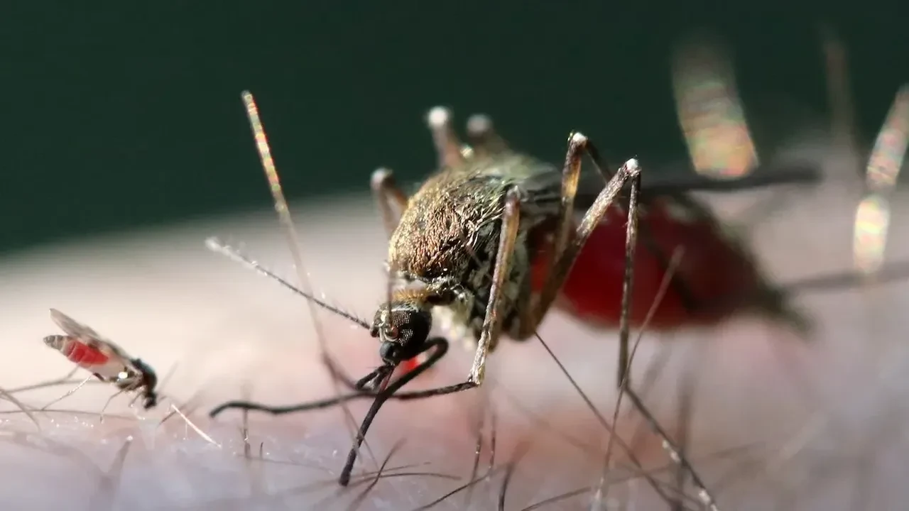 Super Grip Salgini Yayiliyor Bu Viruslerden Biri Dunyayi Pandeminin Esigine Getirebil 3277144 Photogallery 10