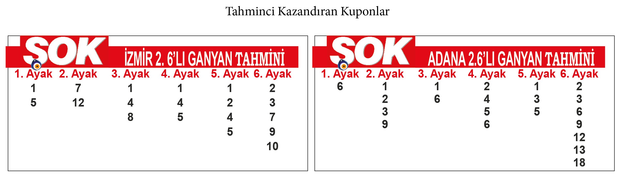 T A H M İ N C İ1101