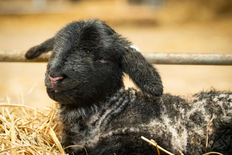 Ekran Görüntüsü 2026 02 13 17304