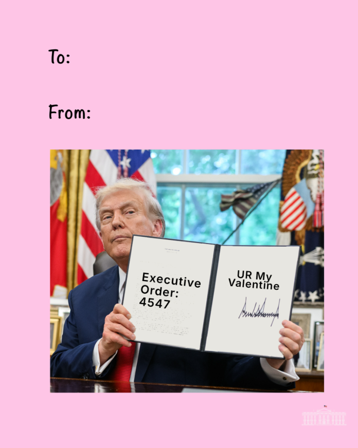 Ekran Görüntüsü 2026 02 14 184822