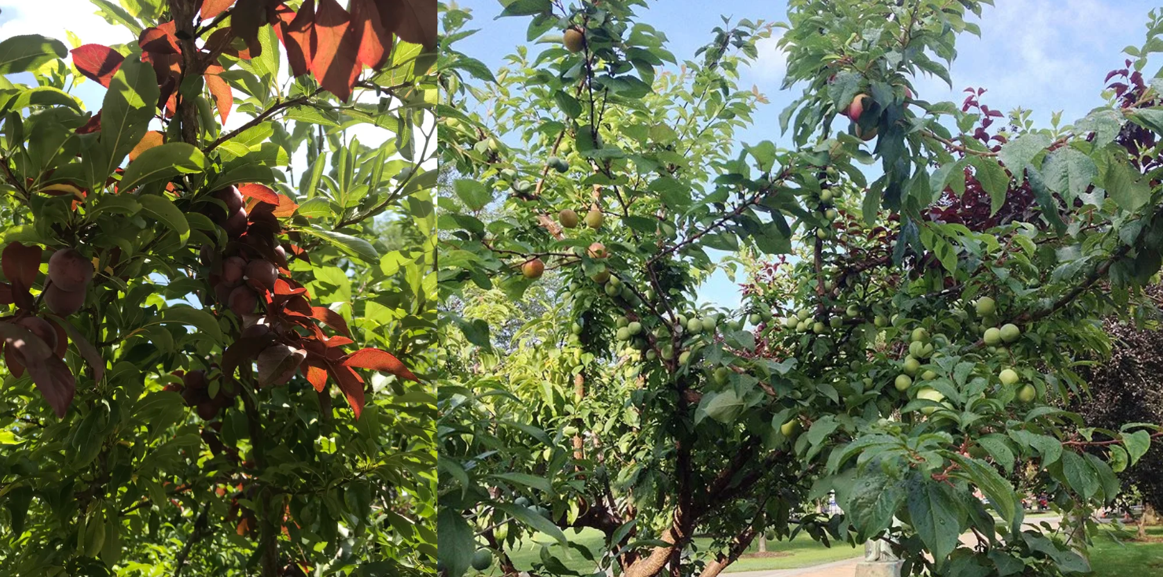 Ekran Görüntüsü 2026 02 16 013652