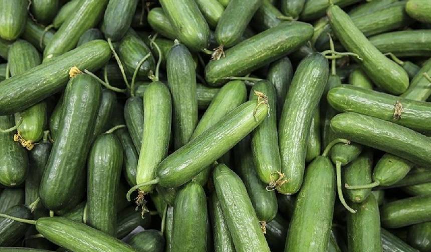 CHP'li milletvekilinden salatalık üzerinden 'hayat pahalılığı' paylaşımı