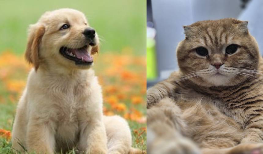 KADIKÖY BELEDİYE BŞK. YAZI İŞLERİ MÜDÜRLÜĞÜ