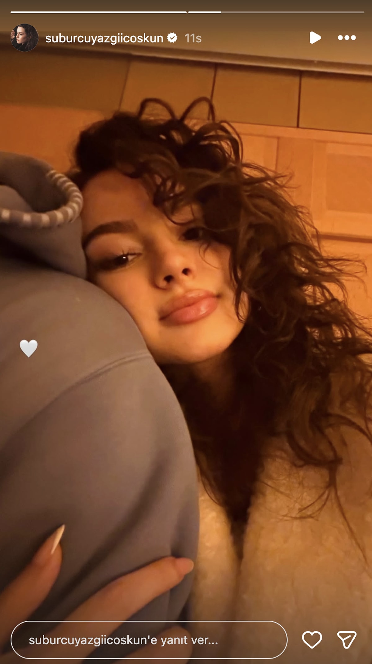 S 333204Cdb9B9C8F409642B40B80A9A7Dee36Ec35