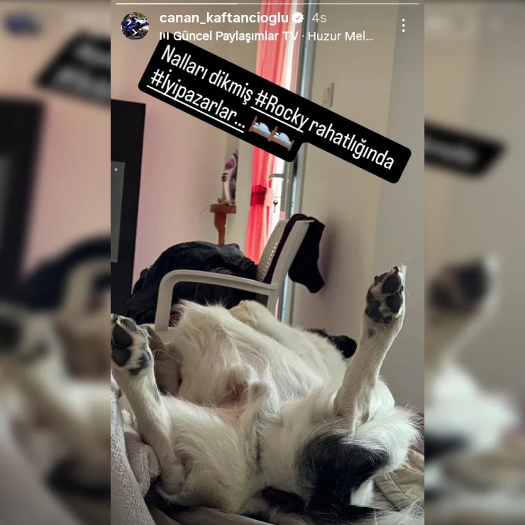 2026 05 23 Canan Kaftancioglu Instagram 1 1
