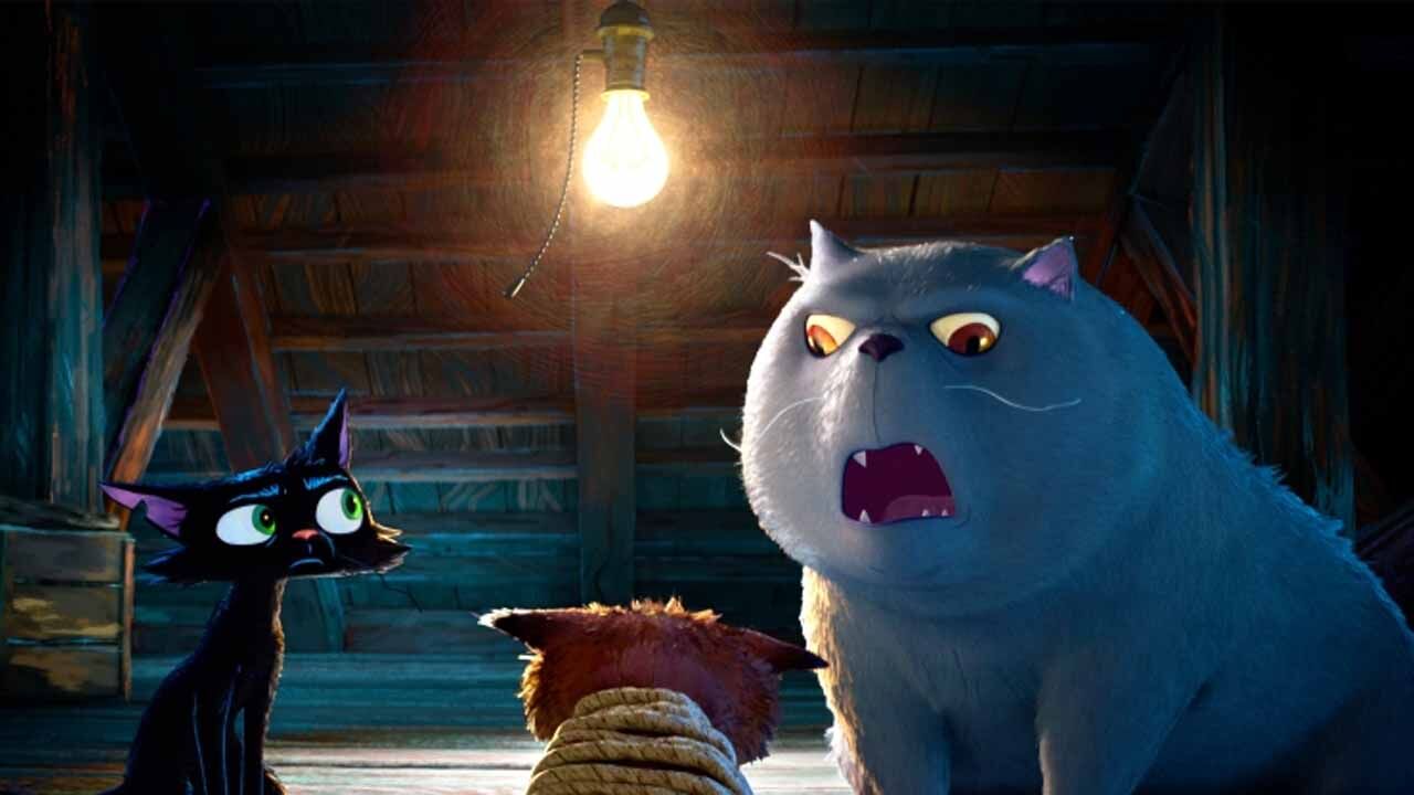 Gatto Filminden Ilk Fragman Geldi