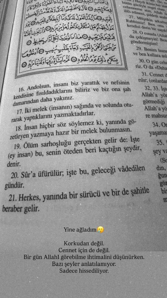 Şş