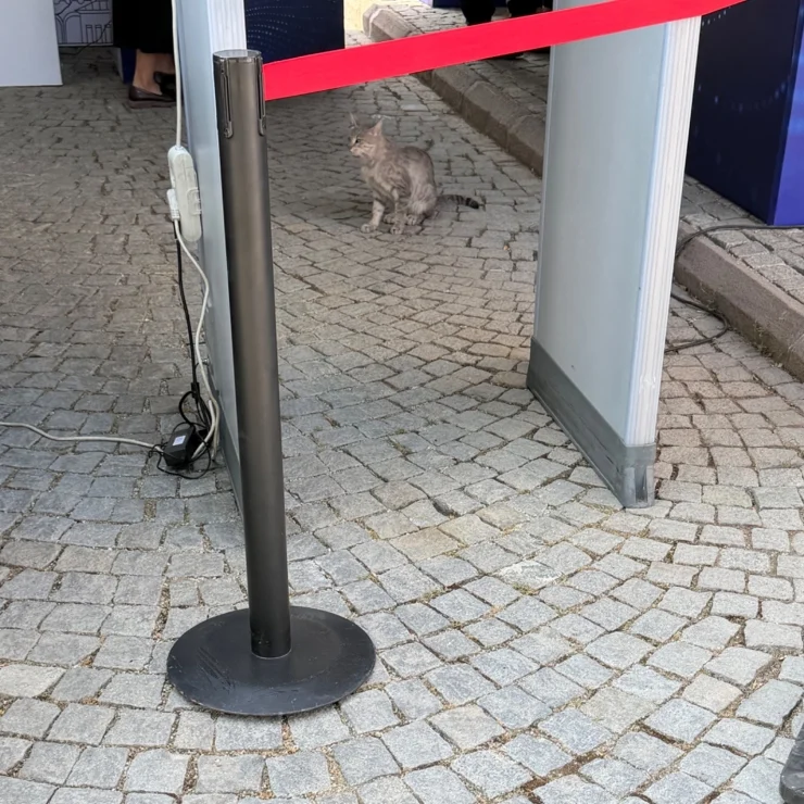 2026 07 08 Nato Kedi Robbiegramerx