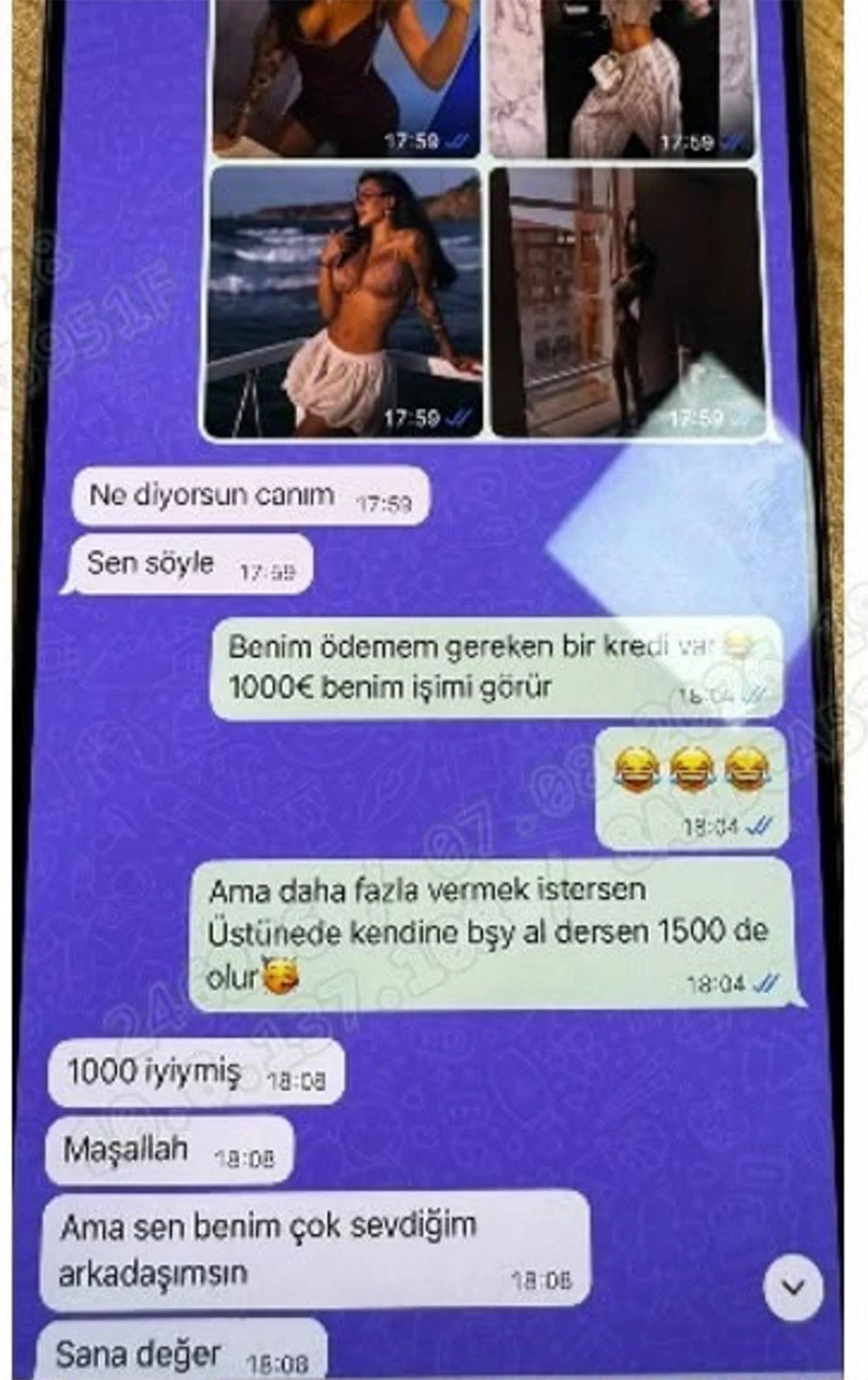 Indir 1 Geko