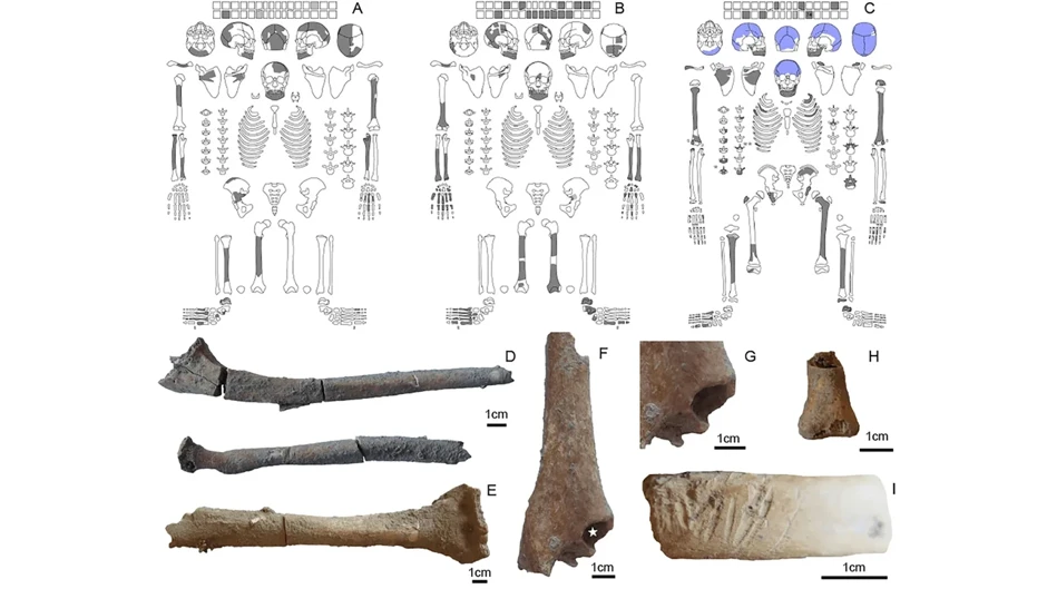 Plos One Dergisinde Yayimlanan Arastirma Gobekli Tepedeki Bozulmamis Mezarlari Ve Yerlesim Izlerini Ortaya Cikardi Tolo